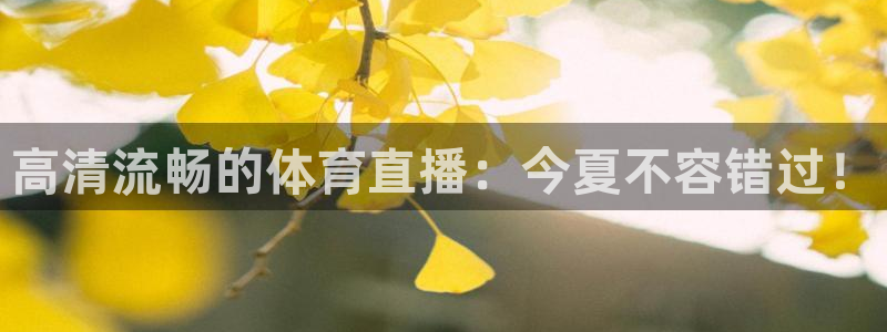高清流畅的体育直播：今夏不容错过！